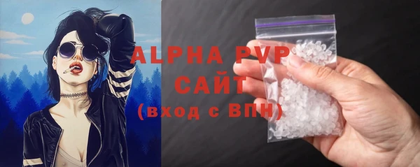 ECSTASY Инсар