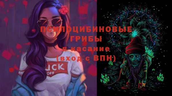 ECSTASY Инсар