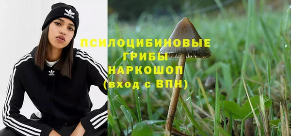 ECSTASY Инсар
