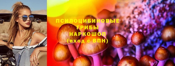 ECSTASY Инсар