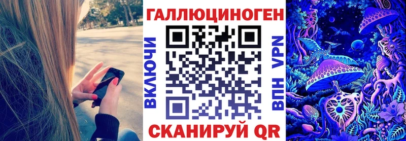 Купить закладки  Осташков  Псилоцибиновые грибы Psilocybe 