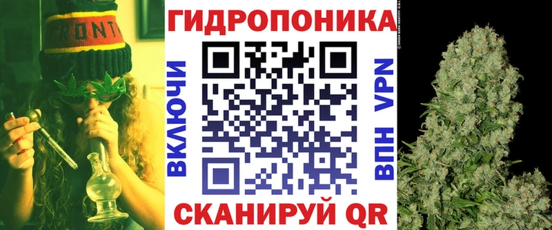 Канабис сатива Осташков